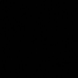 Meet your Posher, Rosa